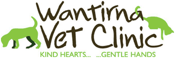 Wantirna Vet Clinic