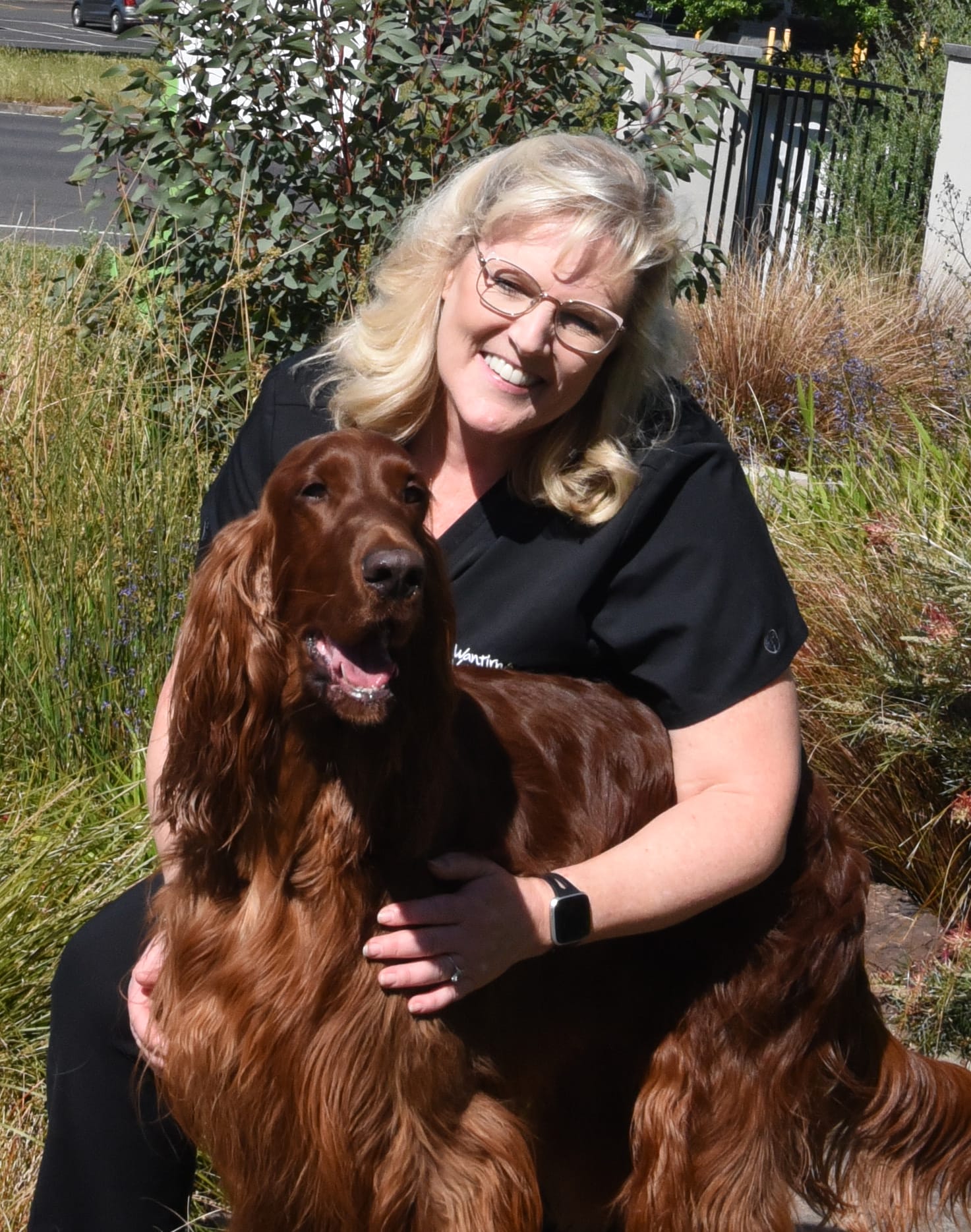 Dr Alison Brown