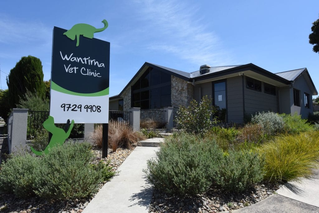 Wantirna Vet Clinic