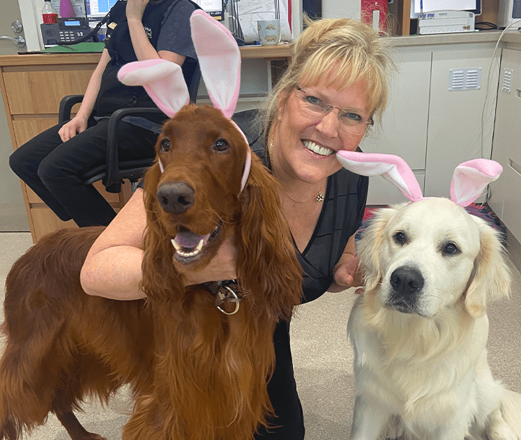 Dr Alison Brown-Wantirna Veterinary Clinic