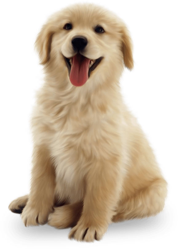 dog-png-22667