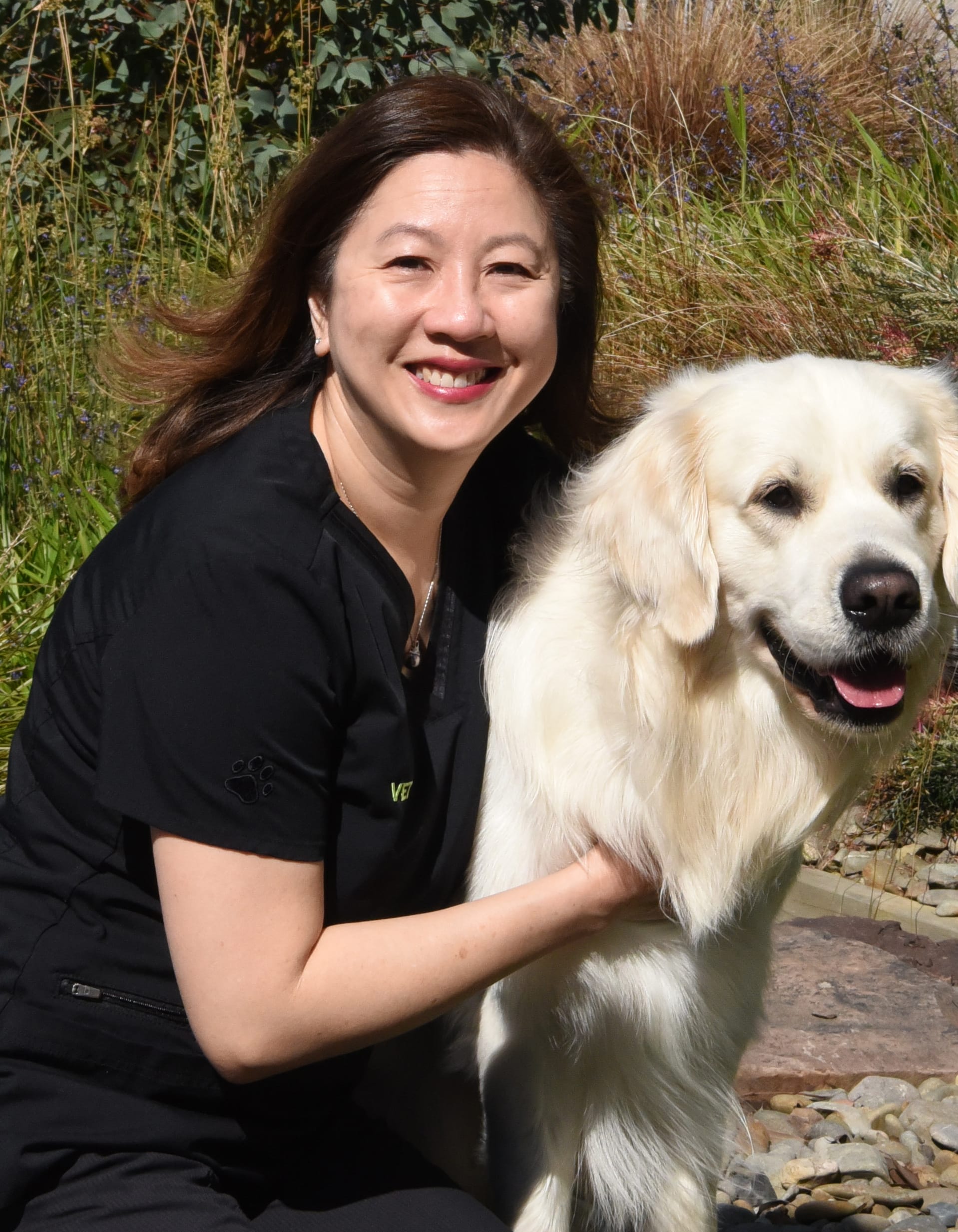 Dr Ashley Lee-Wantirna Veterinary Clinic